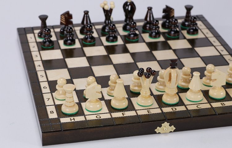 2 in 1 Chess & Checkers Game Set