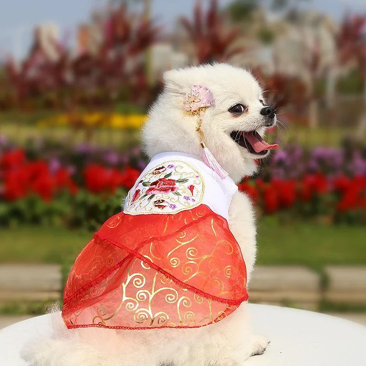 Disc Embroidery Pet Clothes