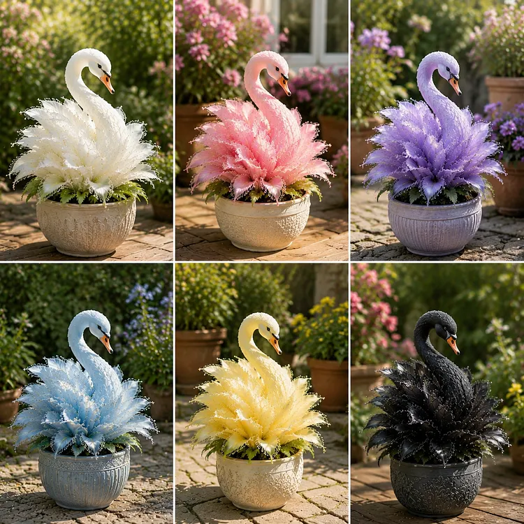 🦢 Swan Flower Collection- Turn Your Garden into a Living Swan Paradise