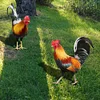 2PCS Chicken Sculpture Ornamental Rooster Decor Garden Statue Acrylic for Easter