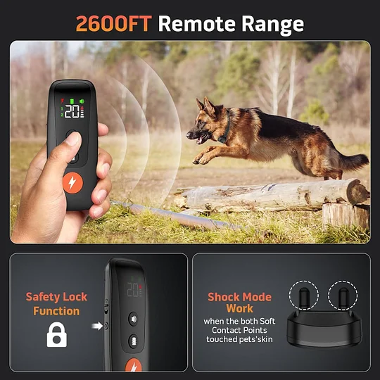 faszienrolle mit vibration rossmann Dogtra Arc X Dogtra ARC-X Remote 2-HUND Trainingshalsband – 3/4 Meile  Reichweite, Boost, Ton & Vibration