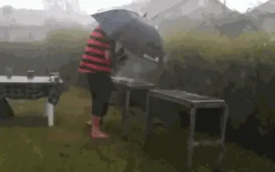 GIF