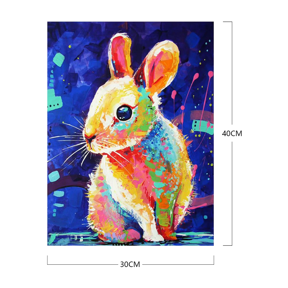 DIY Paint By Number 30*40cm - Rabbit