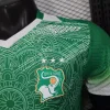 2026 Player Ivory Coast Special Edition Green Soccer Jersey