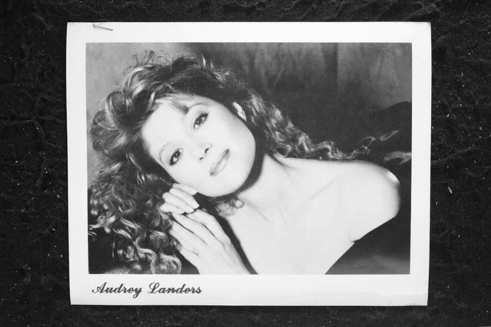 Audrey Landers - 8x10 Headshot Photo Poster painting w/ Resume - Dallas