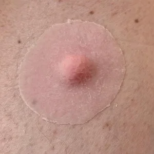 pornhint Pornhint Silicone prosthetic nipple Toy