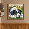 Border Collie And Chicks-11CT Stamped Cross Stitch 40*40cm/15.75*15.75in tapestrymarket