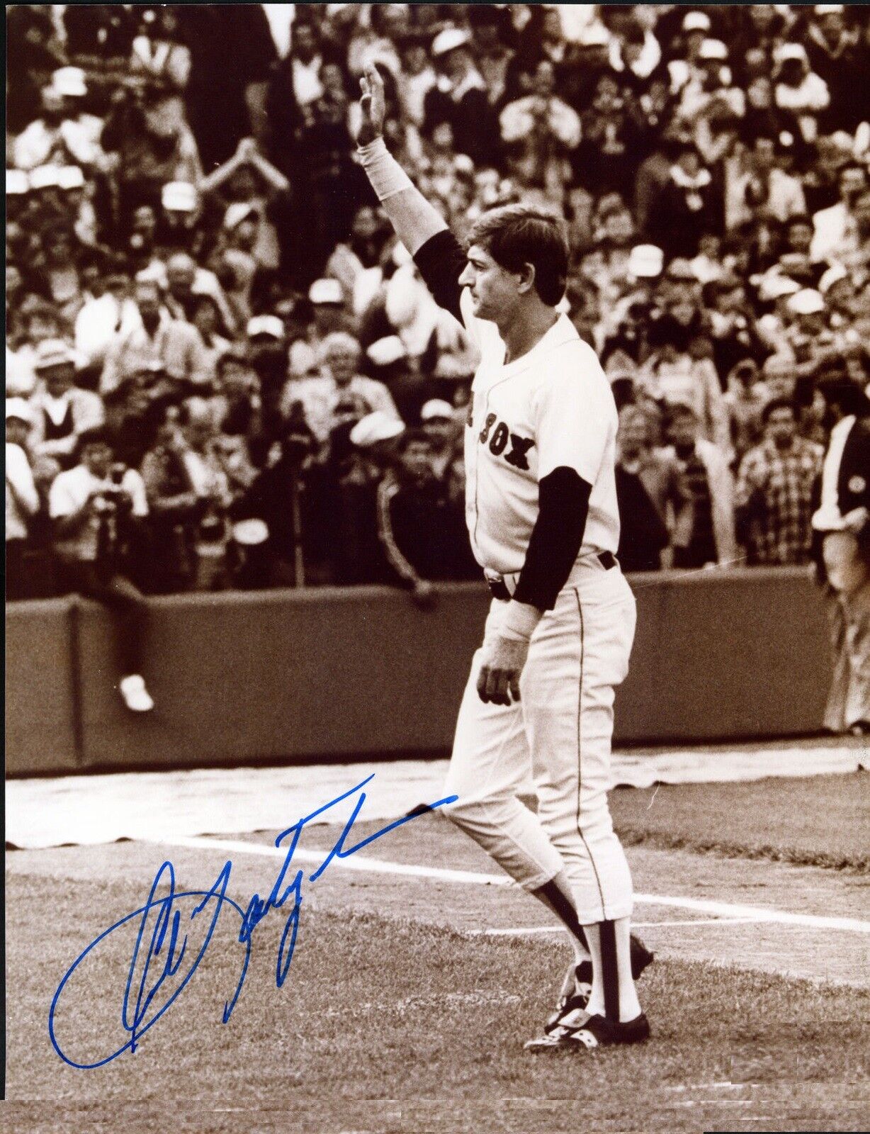 Carl Yastrzemski Autographed Signed 8x10 Photo Poster painting ( HOF Red Sox ) REPRINT .