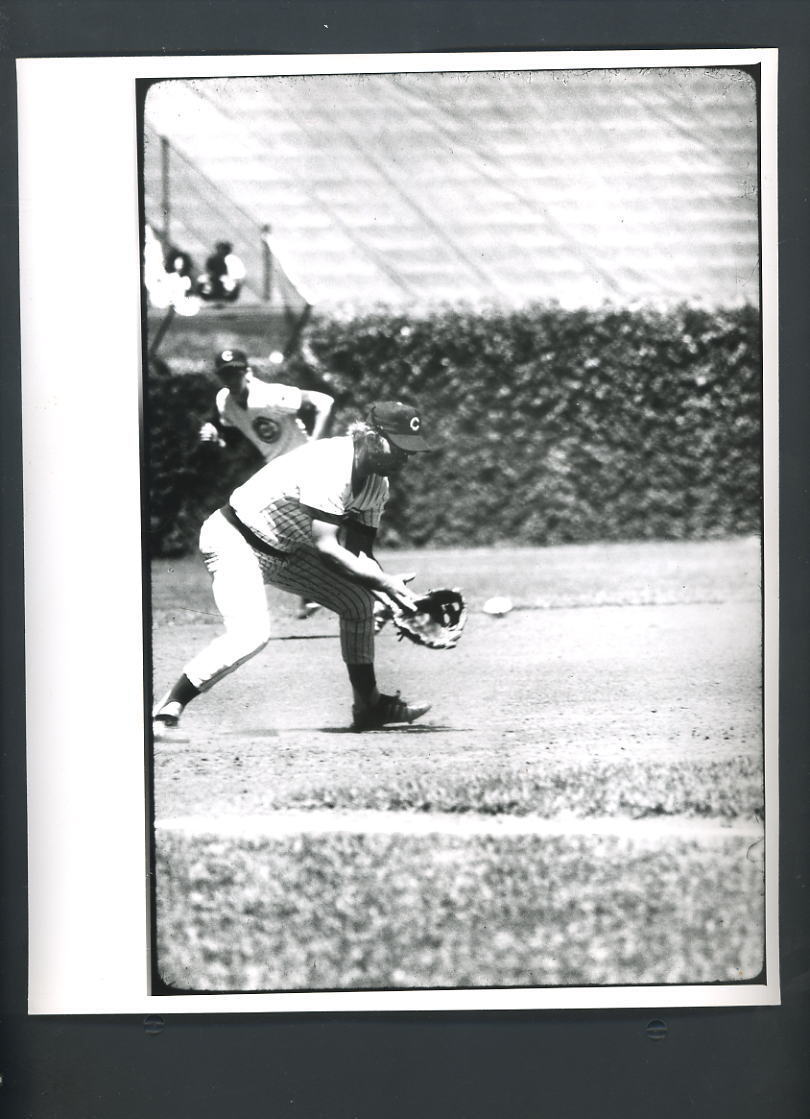 Ron Santo Original 8x10 Photo Poster painting Action Fielding at Wrigley Field Chicago Cubs