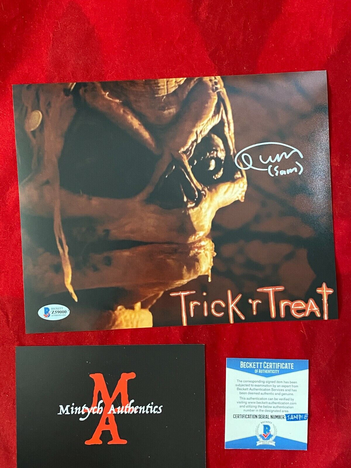 QUINN LORD TRICK 'R TREAT AUTOGRAPHED SIGNED 8x10 Photo Poster painting! BECKETT! HORROR! SAM!