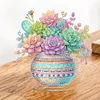 Plantes succulentes en pot acrylique - ornement d&rsquo;artisanat 5d bricolage