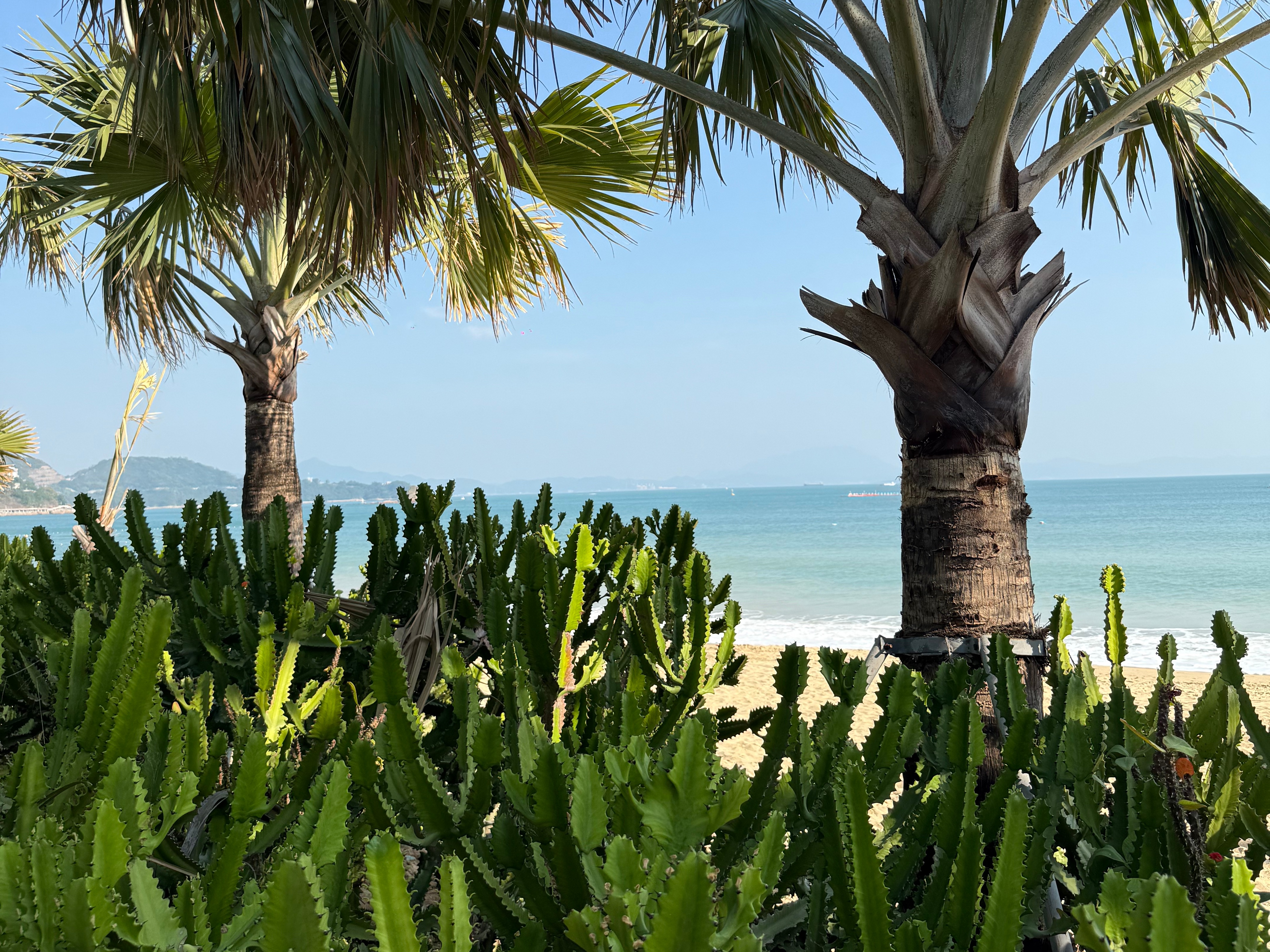 Shenzhen in One Day: Tech Markets & Seaside Escape Private Tour