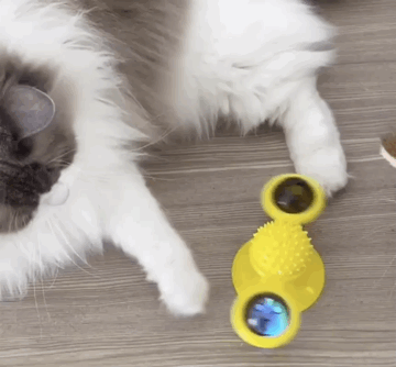 Windmill Cat Toy - The fidget spinner for cats! – Kittenfy
