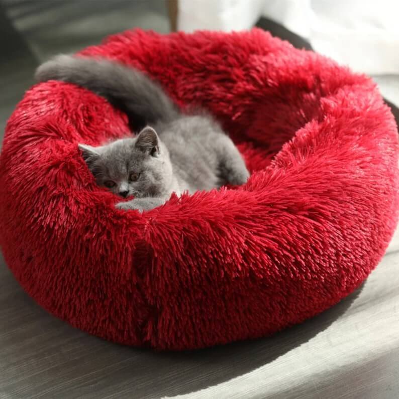 Red Colors of Small, Meddium, Large Pet Bed for Cats and Dogs