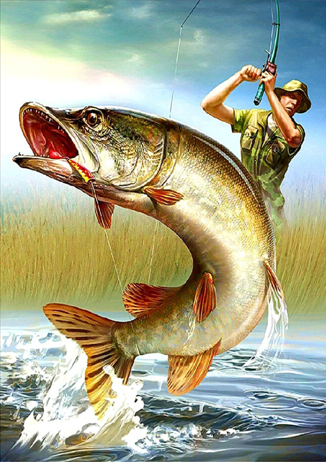 Fishing Man 40*55cm(canvas) full round drill diamond painting
