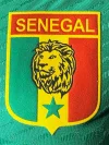 2026 Player Senegal Retro Green Soccer Jersey