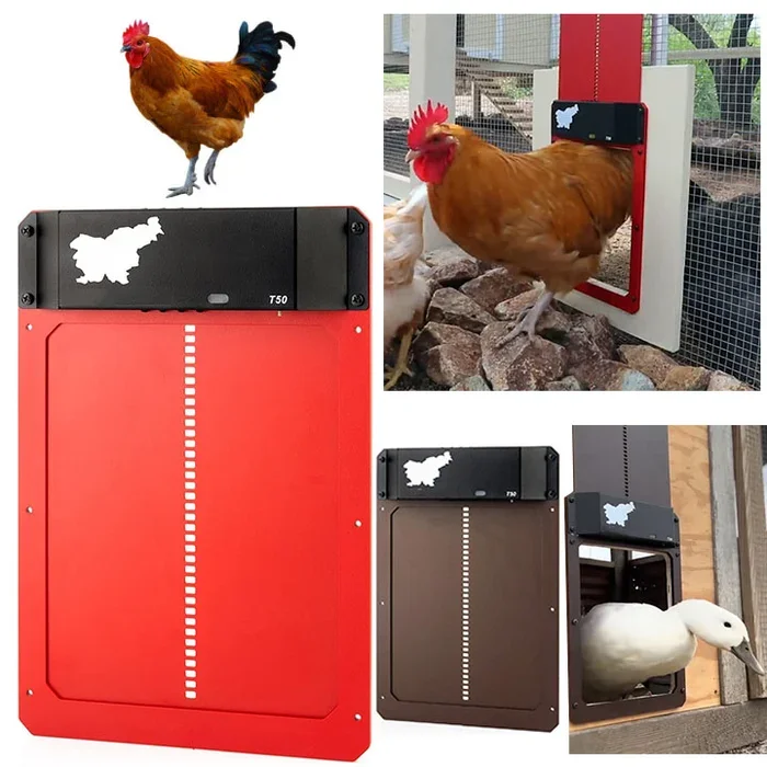 Automatic Chicken Coop Door