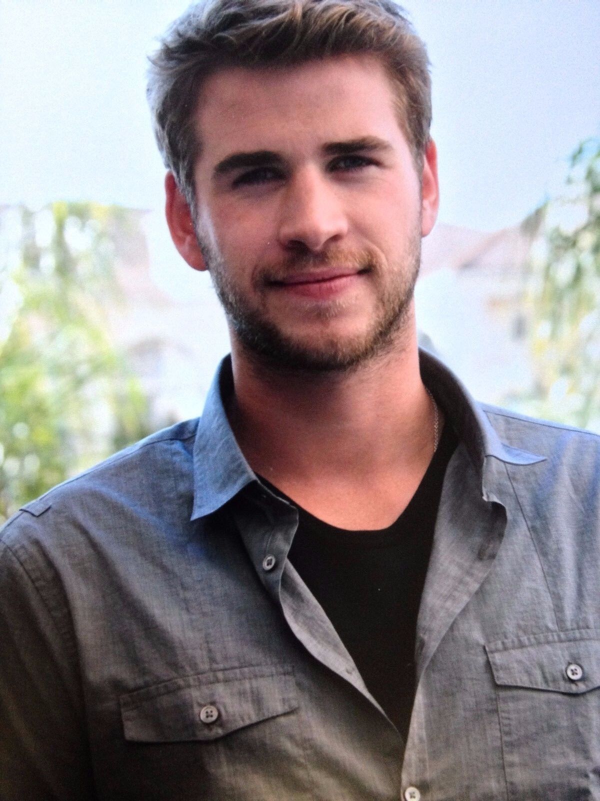 LIAM HEMSWORTH - POPULAR AUSTRALIAN ACTOR - SUPERB COLOUR Photo Poster paintingGRAPH