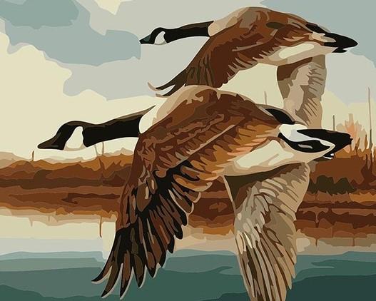 

Flying Ducks – Paint By Numbers - 40*50CM, 501 Original