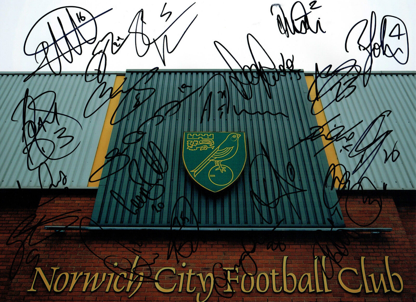 Norwich City Squad Multi Signed Autograph 16x12 Stadium Photo Poster painting AFTAL COA