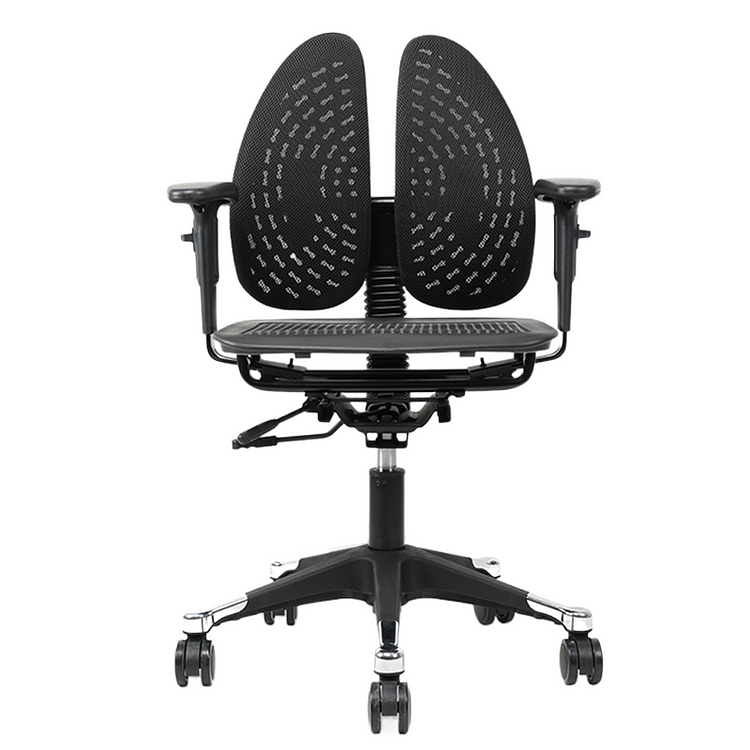 F-09B Twin Back Ergonomic Chair for office 