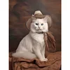 Diamond Painting-DIY Full Round Drill Cowboy Cat