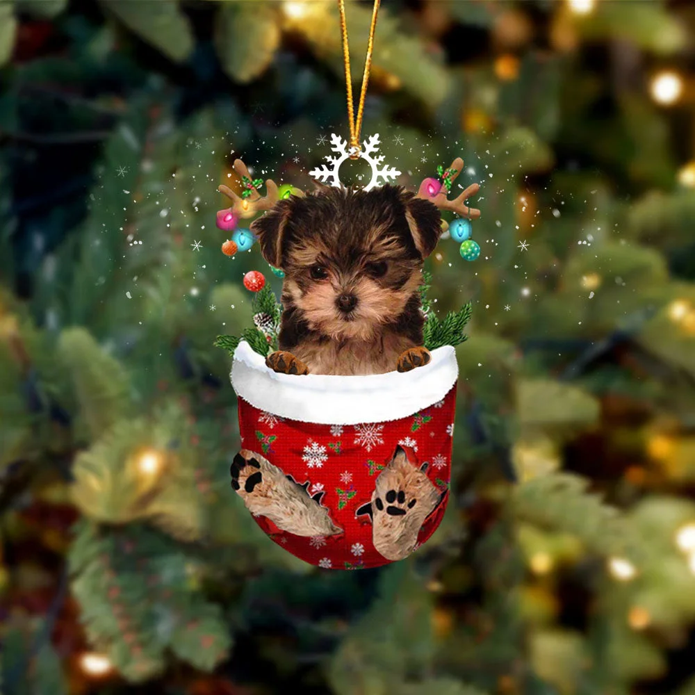 Maltese and Yorkie Mix In Snow Pocket Christmas Ornament 01.