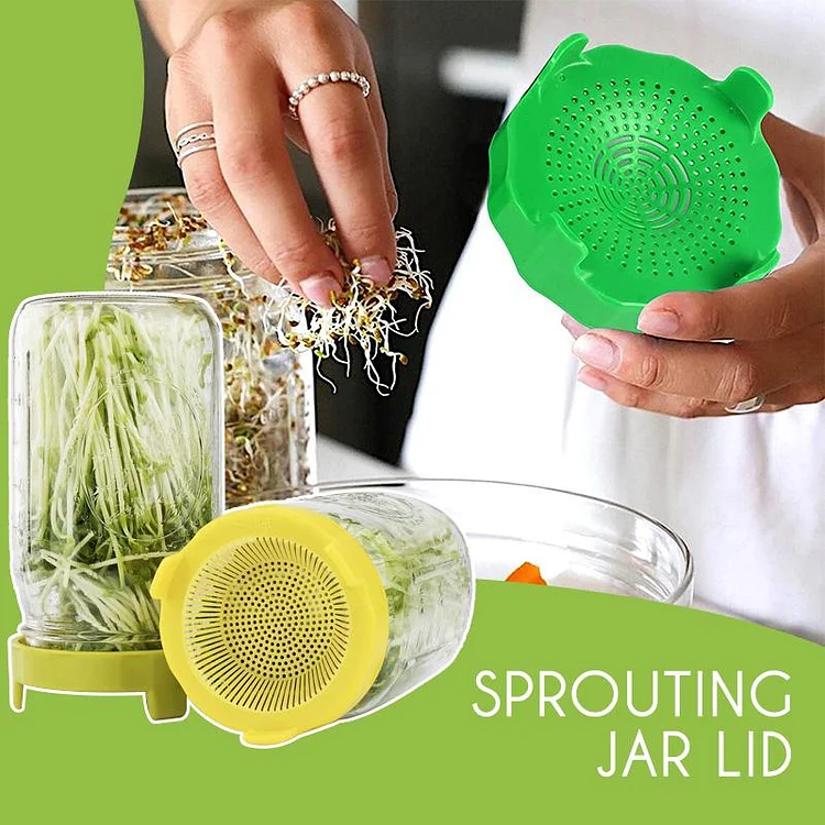 Microgreens Sprouting Jar Lid | 168DEAL