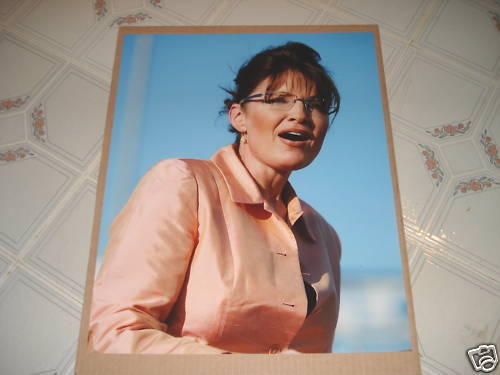 Sara Palin Huge 16x20 Photo Poster painting Rogue Book Tour President