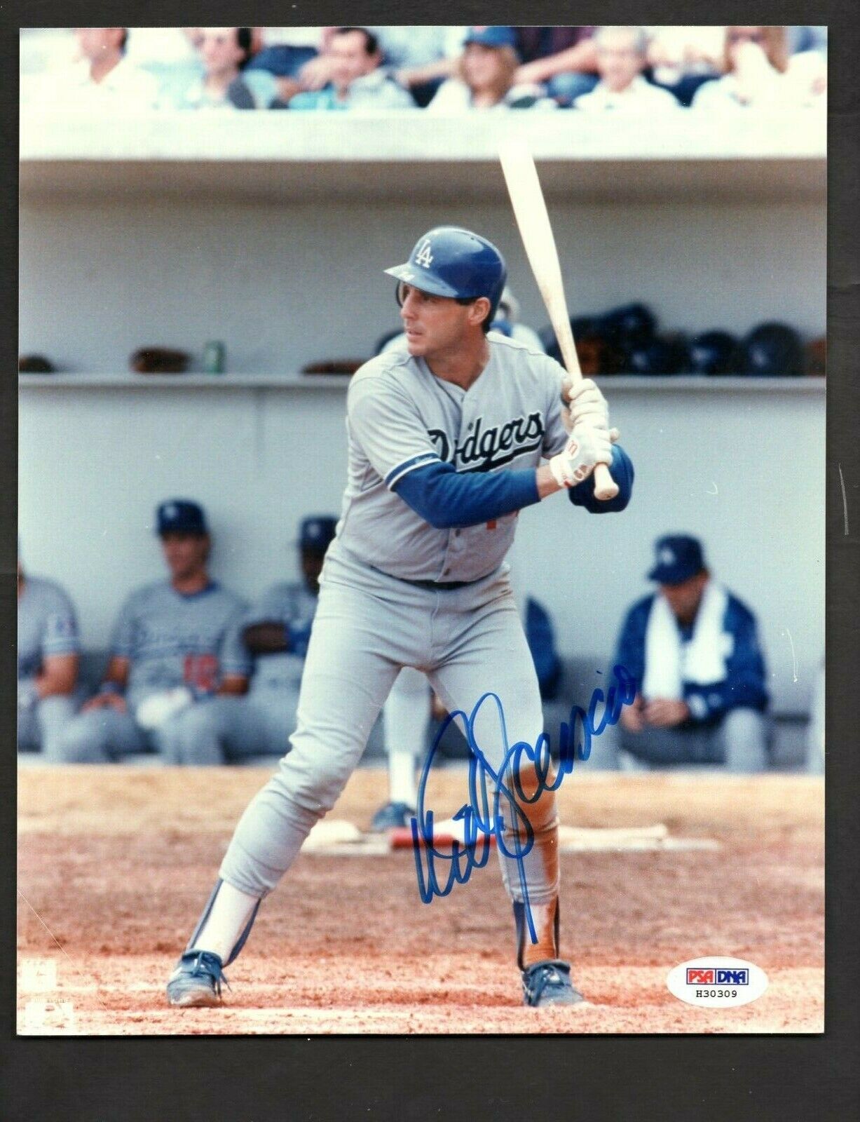 Mike Scioscia Signed 8 x 10 Photo Poster painting PSA/DNA Los Angeles Dodgers SHIPPING IS