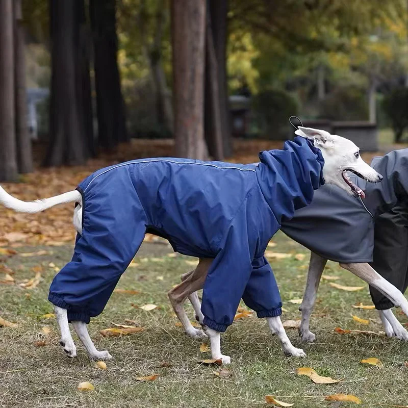 Dog Raincoat for Italian Greyhound Long Sleeve Water Proof roarxlpet