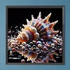 (Box Packaging)Diamond Painting -DIY Round Drill Conch