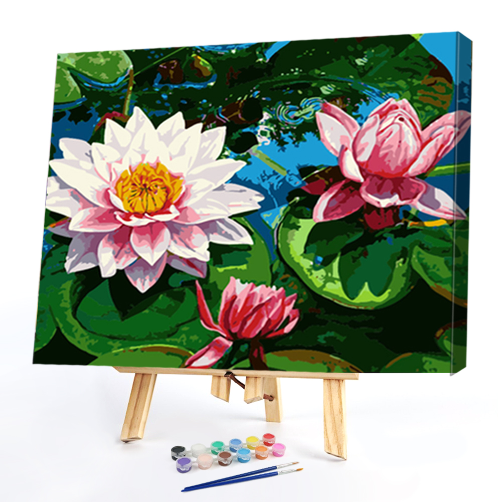 

40*50CM Paint By Numbers-Lotus, 501 Original