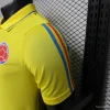 Player Version 2026 Colombia Yellow POLO Jersey