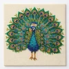 Peacock Partial Bead Embroidery Kit 11CT Pre-Printed Bead Cross stitch 36*36CM tapestrymarket