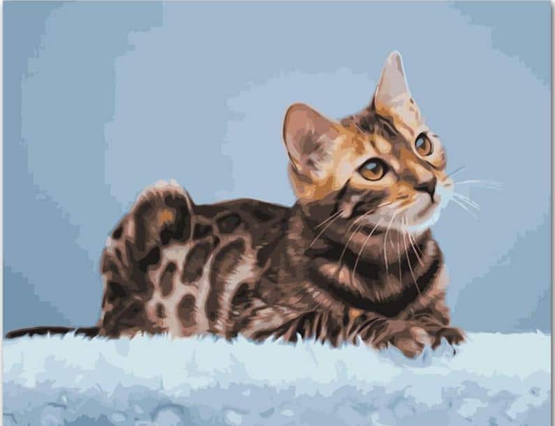 

Bengal Cat – Paint By Numbers - 40*50CM, 501 Original