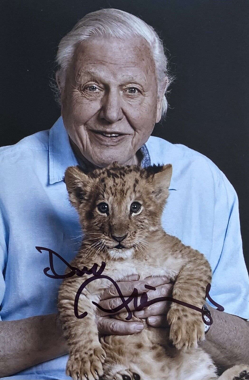 Sir David Attenborough Genuine Hand Signed 6x4 Photo Poster painting 33