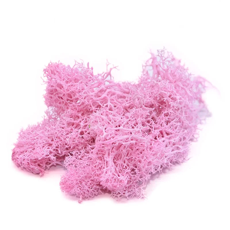 20g Artificial Plant Eternal Life Moss Garden Home Decoration Wall DIY Flower Material Mini Garden Micro Landscape Accessories