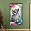 (US Only)Partial AB Diamond Painting - Full Round Drill - Owl (Canvas|45*75cm)