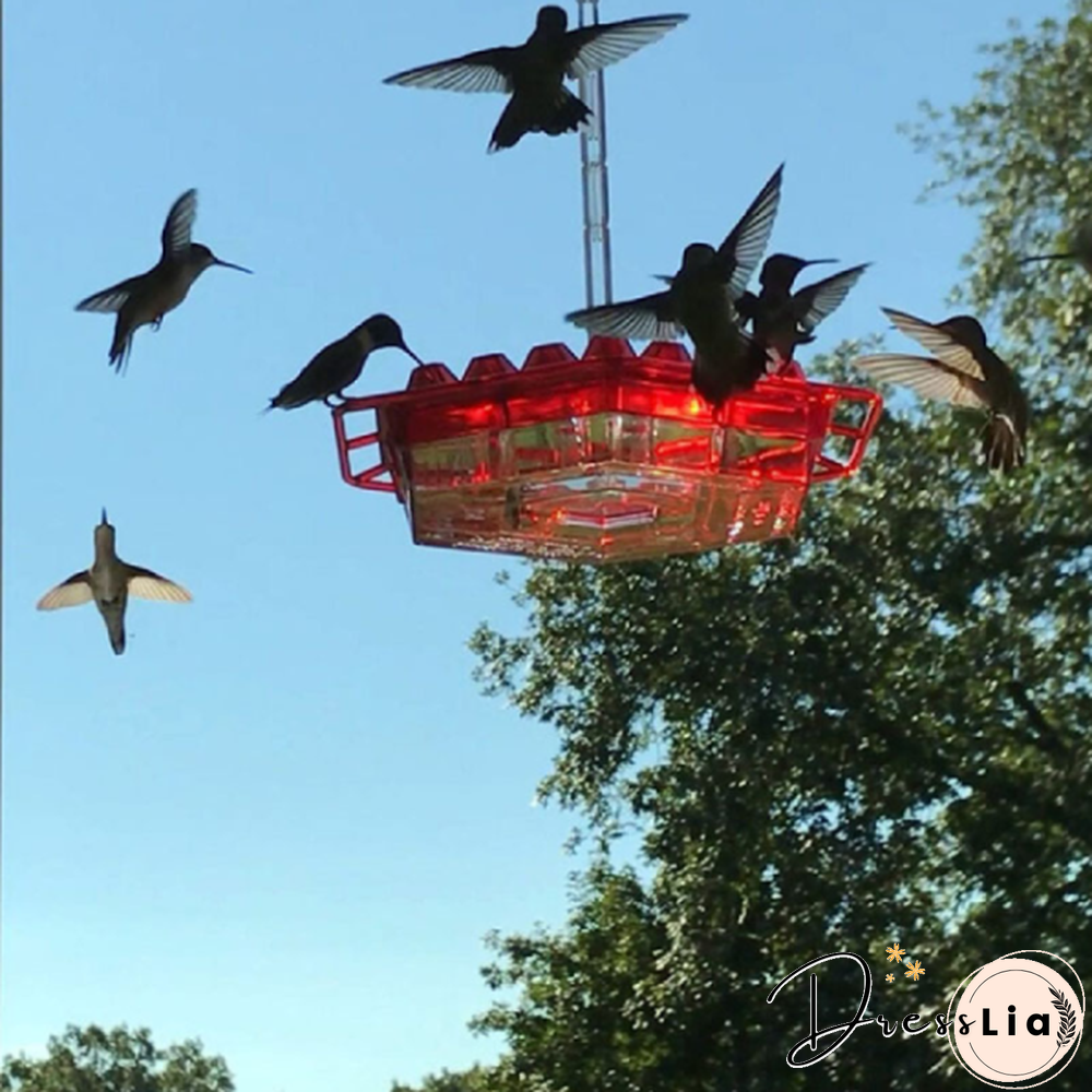 Sweety Hummingbird Feeder With Perch And Built-in Ant Moat