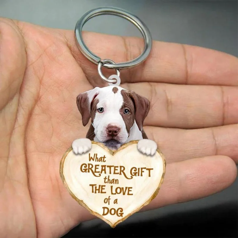 VigorDaily Pitbull What Greater Gift Than The Love Of A Dog Acrylic Keychain GG111