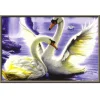 Swan couple | Full Round Diamond Painting Kits