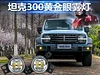 适用于坦克300雾灯改装LED高亮黄金眼透镜雾灯魏派WEY坦克300专用