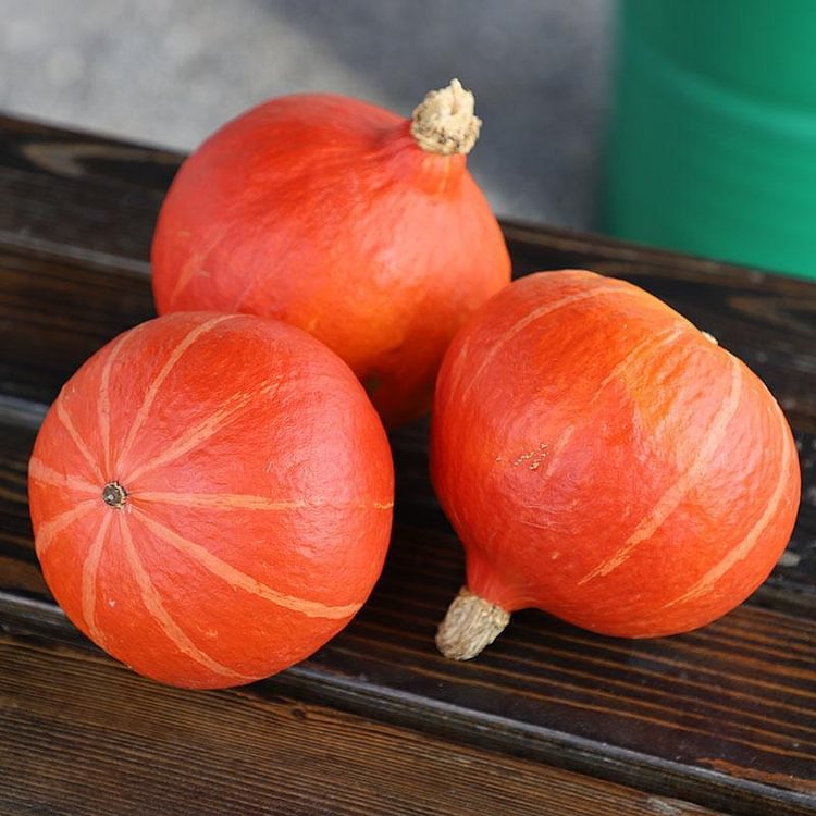 Squash Steph Kuri F1 Organic