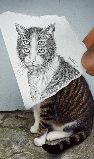 

Touch Of Pen Cat – Paint By Numbers - 40*50CM, 501 Original