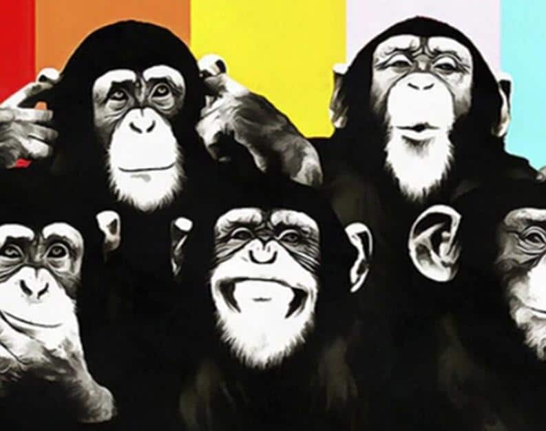 

Funny Monkeys – Paint By Numbers - 40*50CM, 501 Original