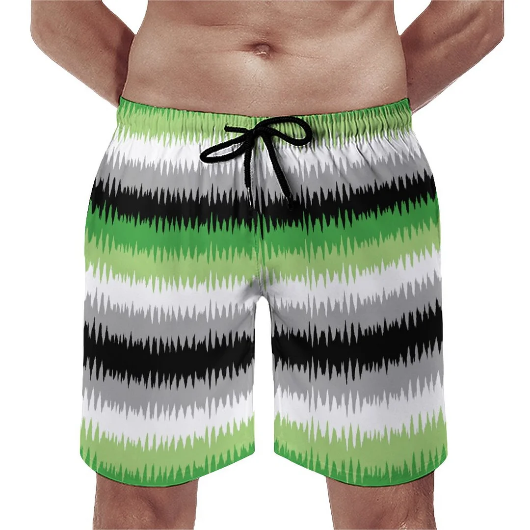 Aromantic Pride Zig Zag Men's Swim Trunks Summer Board Shorts Quick Dry Beach Short with Pockets