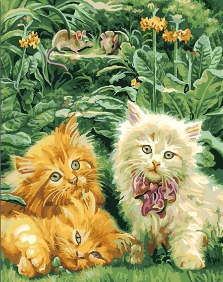 

Cute Pets Cats – Paint By Numbers - 40*50CM, 501 Original