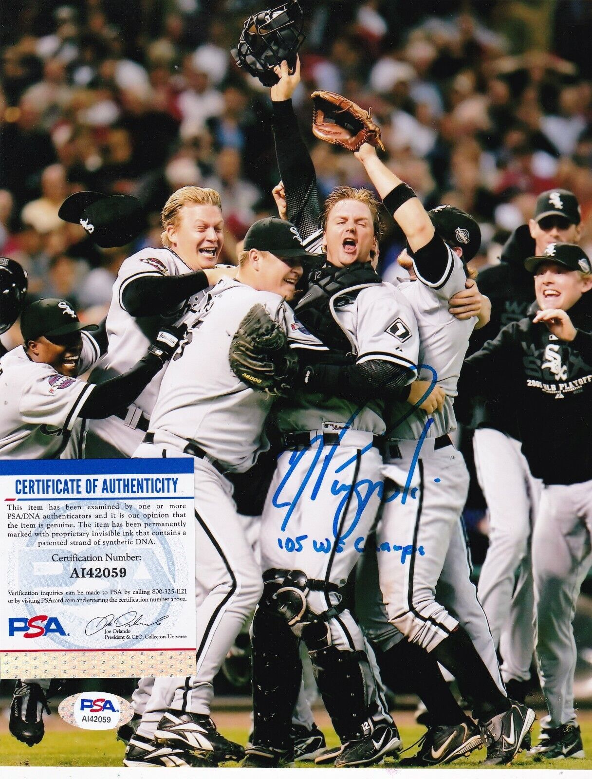 A.J. PIERZYNSKI CHICAGO WHITE SOX 05 WS CHAMPS PSA AUTHENTICATED SIGNED 8x10