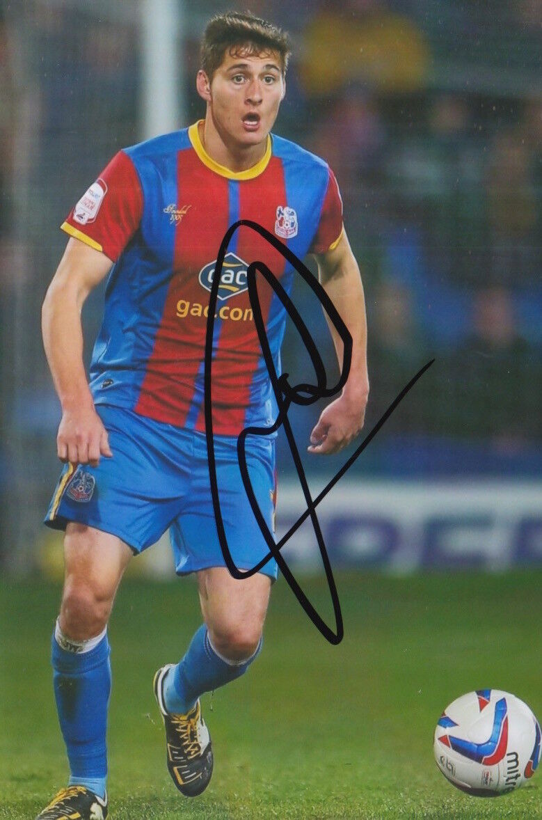 CRYSTAL PALACE HAND SIGNED JOEL WARD 6X4 Photo Poster painting 5.